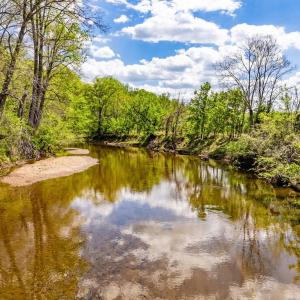 Photo #6 of DOCS, AMISSVILLE, VA 54.9 acres