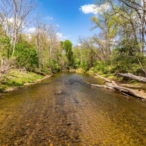 Photo #7 of DOCS, AMISSVILLE, VA 54.9 acres