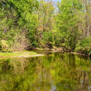 Photo #8 of DOCS, AMISSVILLE, VA 54.9 acres