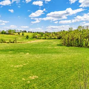 Photo #10 of DOCS, AMISSVILLE, VA 54.9 acres