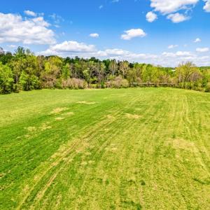 Photo #11 of DOCS, AMISSVILLE, VA 54.9 acres