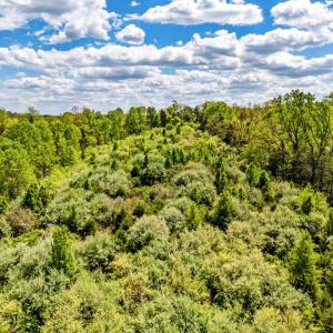 Photo #12 of DOCS, AMISSVILLE, VA 54.9 acres