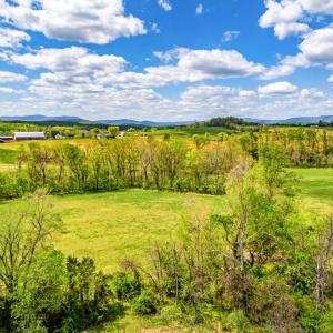 Photo #13 of DOCS, AMISSVILLE, VA 54.9 acres