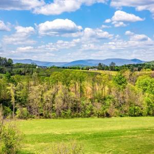 Photo #14 of DOCS, AMISSVILLE, VA 54.9 acres