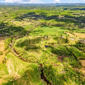 Photo #17 of DOCS, AMISSVILLE, VA 54.9 acres