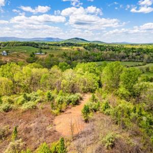 Photo #18 of DOCS, AMISSVILLE, VA 54.9 acres