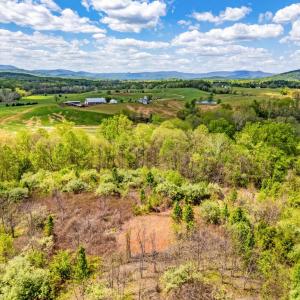 Photo #19 of DOCS, AMISSVILLE, VA 54.9 acres