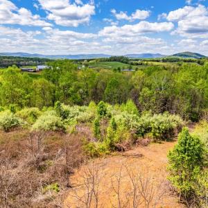 Photo #20 of DOCS, AMISSVILLE, VA 54.9 acres