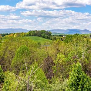 Photo #21 of DOCS, AMISSVILLE, VA 54.9 acres