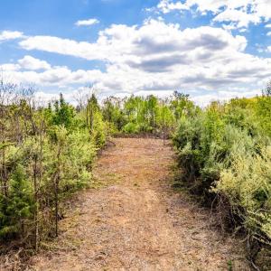 Photo #22 of DOCS, AMISSVILLE, VA 54.9 acres