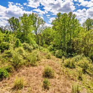 Photo #23 of DOCS, AMISSVILLE, VA 54.9 acres