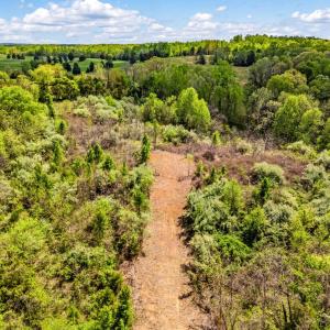 Photo #24 of DOCS, AMISSVILLE, VA 54.9 acres