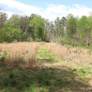 Photo #20 of HAZEL RIVER RD, RIXEYVILLE, VA 31.9 acres