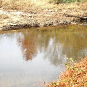 Photo #10 of HAZEL RIVER RD, RIXEYVILLE, VA 31.9 acres