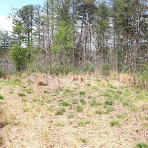 Photo #25 of HAZEL RIVER RD, RIXEYVILLE, VA 31.9 acres