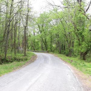 Photo #29 of HAZEL RIVER RD, RIXEYVILLE, VA 31.9 acres