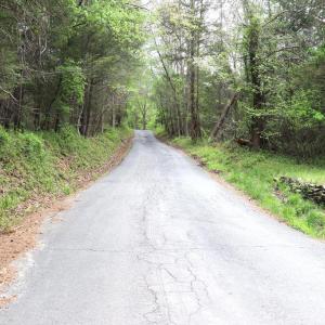 Photo #30 of HAZEL RIVER RD, RIXEYVILLE, VA 31.9 acres