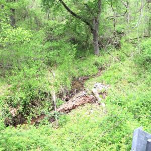 Photo #31 of HAZEL RIVER RD, RIXEYVILLE, VA 31.9 acres