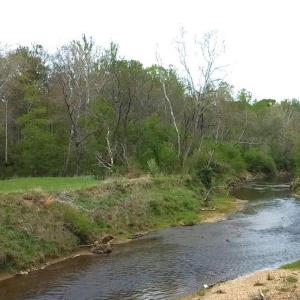 Photo #2 of HAZEL RIVER RD, RIXEYVILLE, VA 31.9 acres