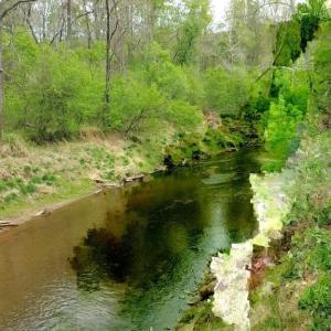 Photo #9 of HAZEL RIVER RD, RIXEYVILLE, VA 31.9 acres