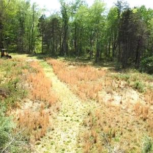 Photo #23 of HAZEL RIVER RD, RIXEYVILLE, VA 31.9 acres