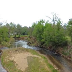 Photo #8 of HAZEL RIVER RD, RIXEYVILLE, VA 31.9 acres