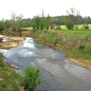Photo #1 of HAZEL RIVER RD, RIXEYVILLE, VA 31.9 acres