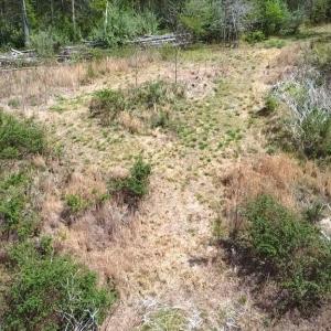 Photo #26 of HAZEL RIVER RD, RIXEYVILLE, VA 31.9 acres