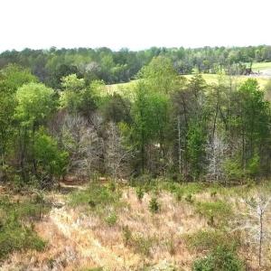 Photo #3 of HAZEL RIVER RD, RIXEYVILLE, VA 31.9 acres