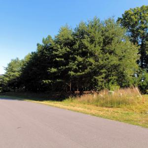 Road front