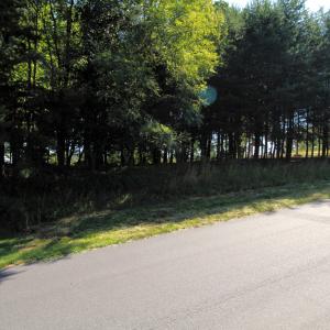 road front
