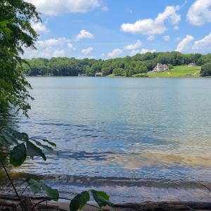 Waterfront has beach and deep water