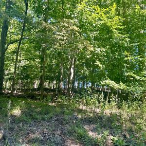 Whisperwood Lot 1
