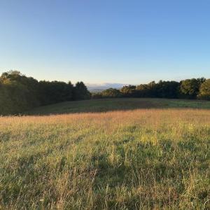 IMG_4824