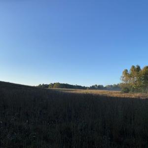 IMG_4831