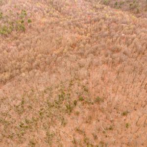 19-Adventure Mountain Rd_19