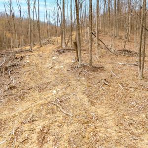 20-Adventure Mountain Rd_20
