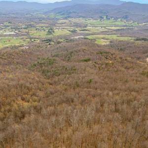 11-Adventure Mountain Rd_11