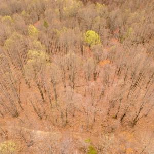 17-Adventure Mountain Rd_17