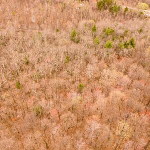 18-Adventure Mountain Rd_18