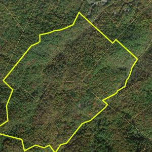 22-Adventure Mountain Rd_22