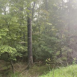 At Road Lot 3 Cedar Bluff Ln
