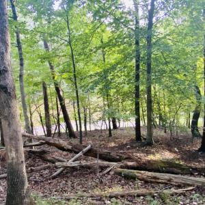 gentle slope Lot 3 Cedar Bluff Ln