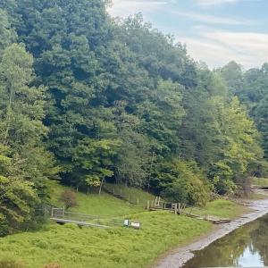 View from bridge to Lot 3 Cedar Bluff Ln