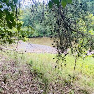 water Lot 3 Cedar Bluff Ln