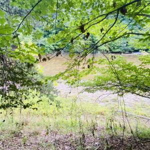 waterfront Lot 3 Cedar Bluff Ln