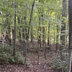 woods Lot 3 Cedar Bluff Ln