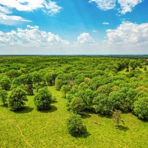 Photo #6 of ELK RUN & RITCHIE RD, MIDLAND, VA 35.4 acres