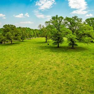 Photo #5 of RITCHIE RD, MIDLAND, VA 12.5 acres
