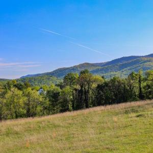 Photo #6 of PORTION OF TAX ID 38-71, SPERRYVILLE, VA 17.6 acres